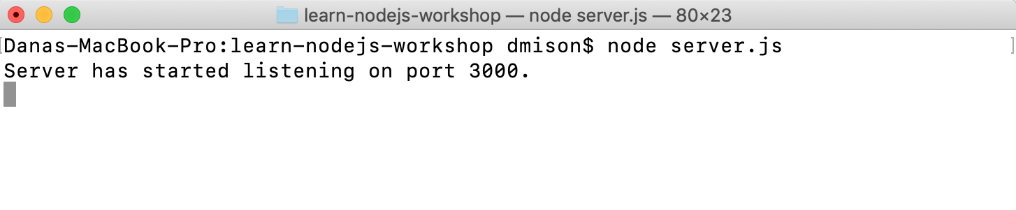 Running node server.js in the terminal